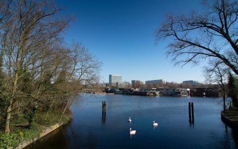 Uitzicht op Schinkel. Foto: Hans van der Vliet