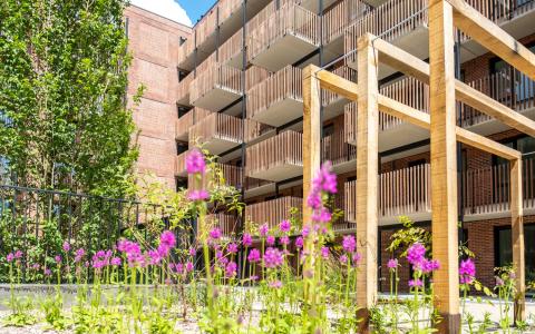Sociale huurwoningen