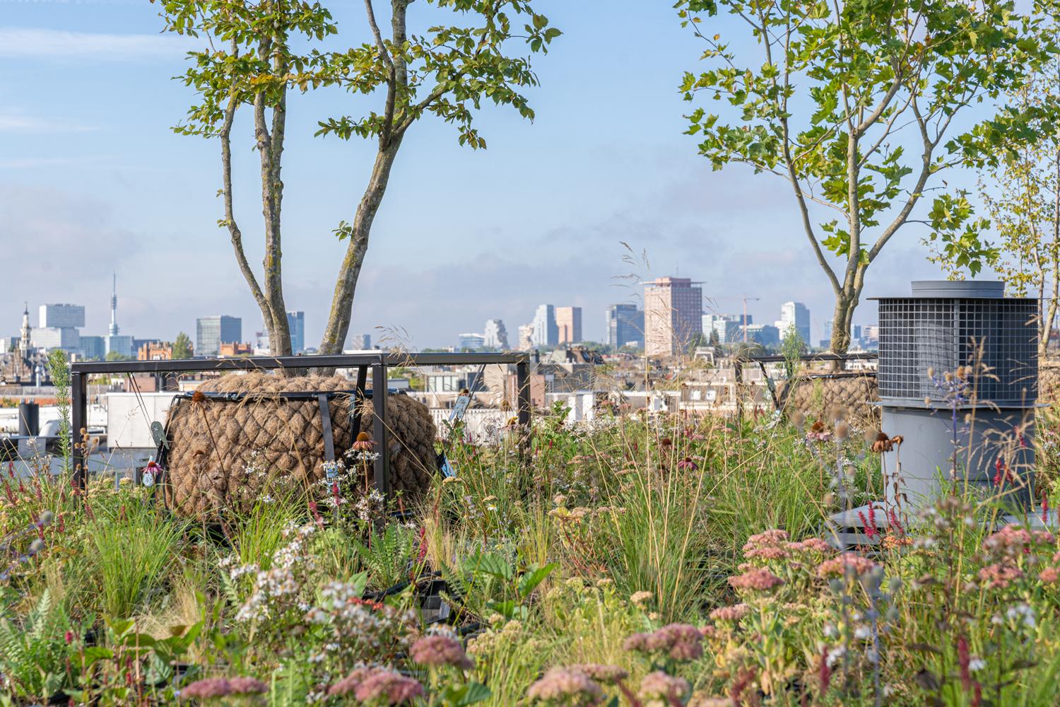 Dak Amsterdam Camperstraat. Foto: Rene Post/Urban Jungle