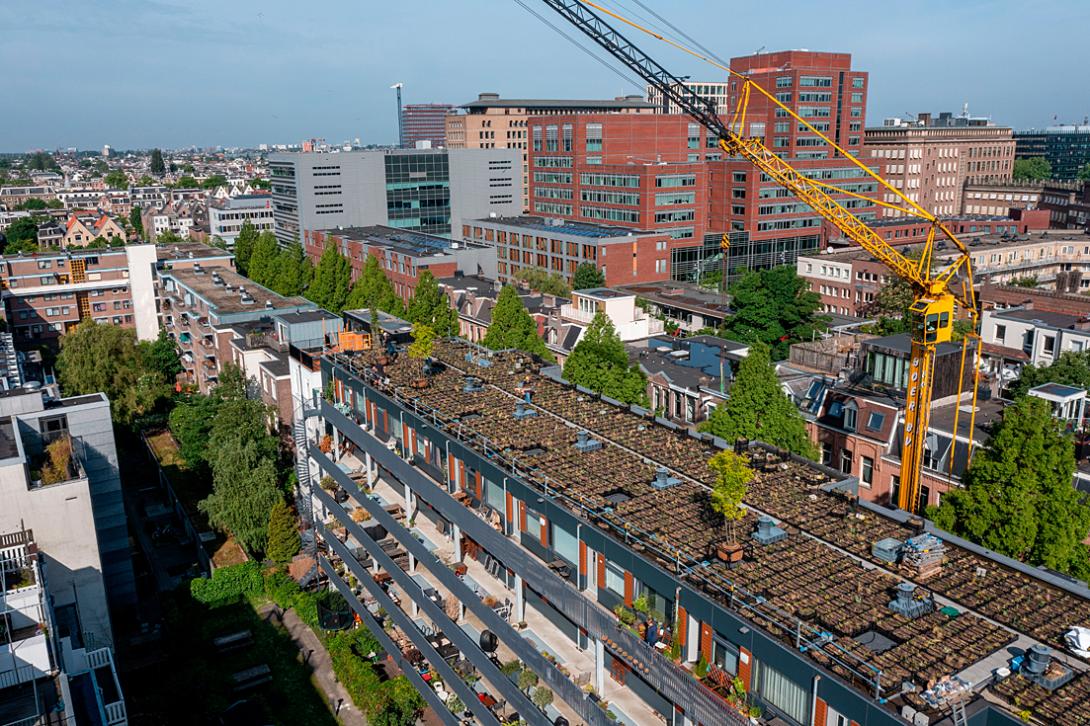 Daktuin Tilanusstraat