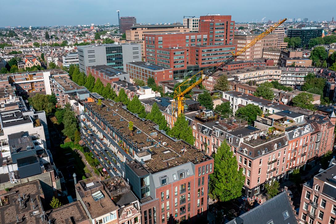Groene daken koelen de stad. Hier de aanleg van een groen dak in de Tilanusstraat Amsterdam.