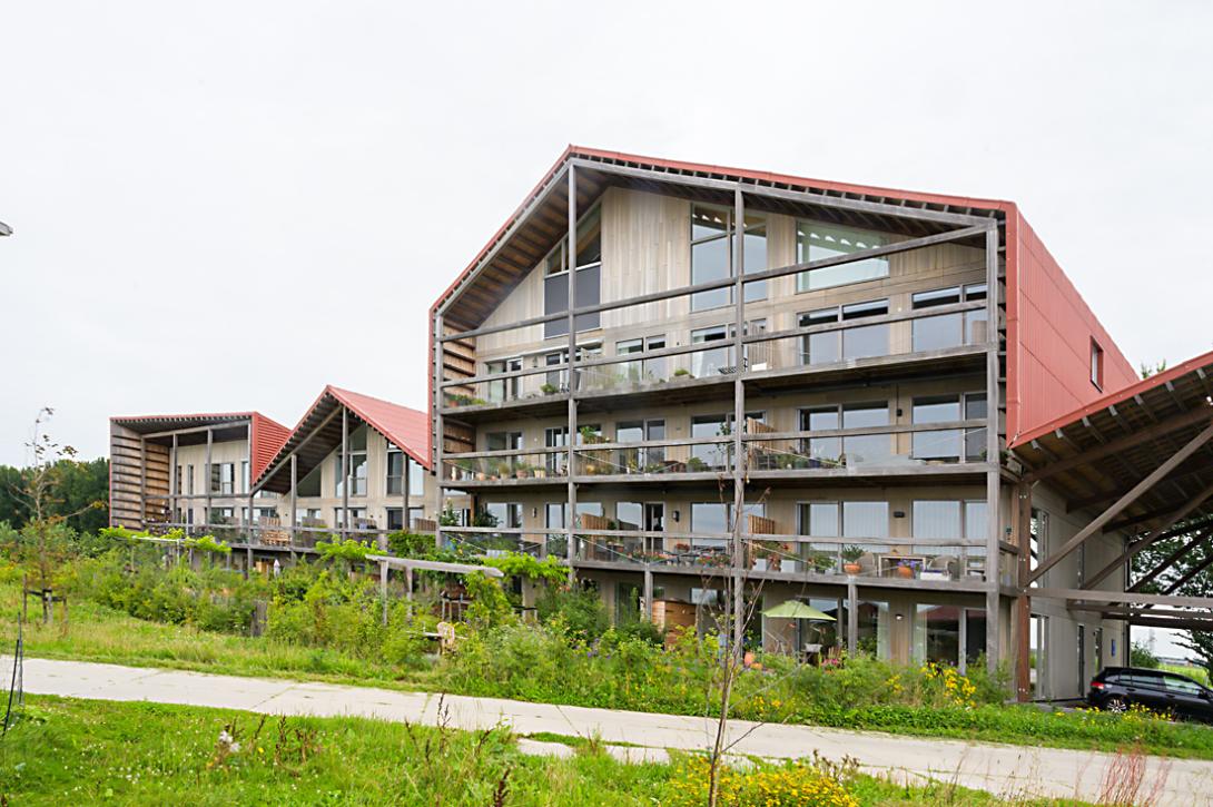 Oosterwold Vliervelden
