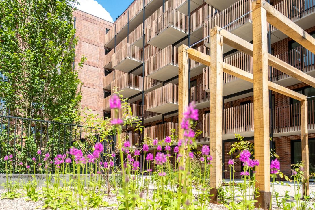 Sociale huurwoningen