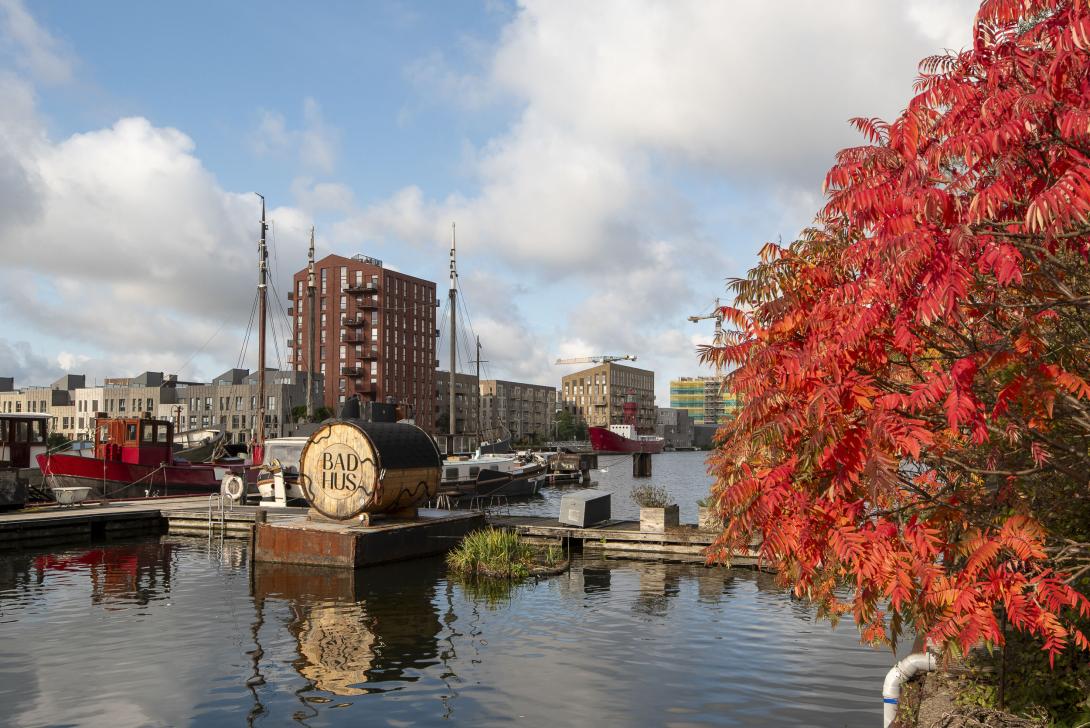 Nieuwbouw aan de Kropaarstraat en de Papaverweg ten westen van de Klaprozenweg. 